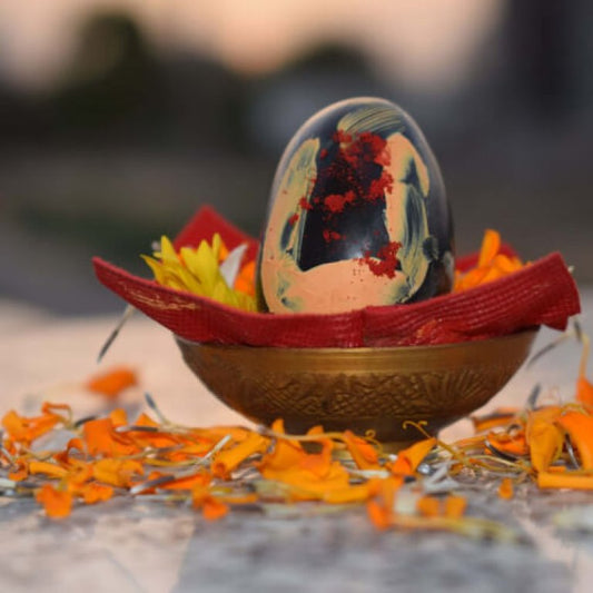 Divya Laxmi Narayan Shaligram  Stone