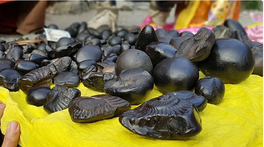 Divya Laxmi Narayan Shaligram  Stone